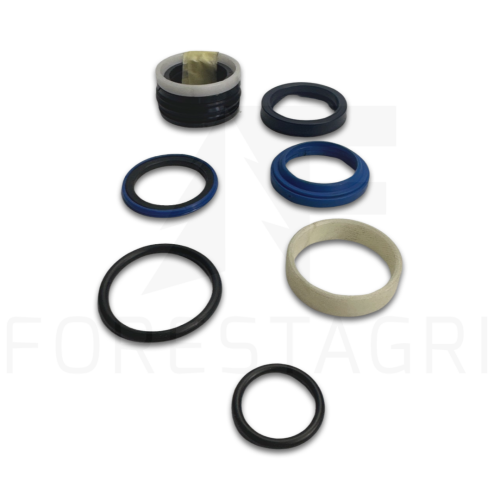 Zestaw uszczelnień, Tarpiklių rinkinys, Sada těsnění, Dichtungssatz, Seal kit, F008717