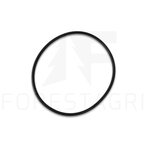 O-kroužek - F025162 (náhradní)