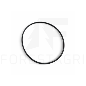 O-kroužek - F055389 (náhradní díl)