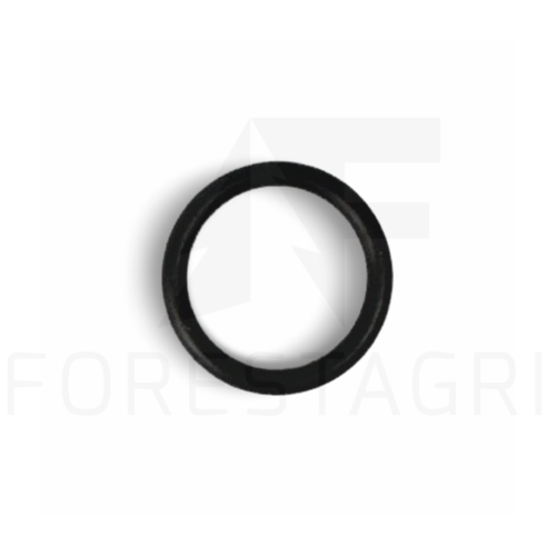 O-RING - F057275