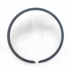 Prsten - F064157