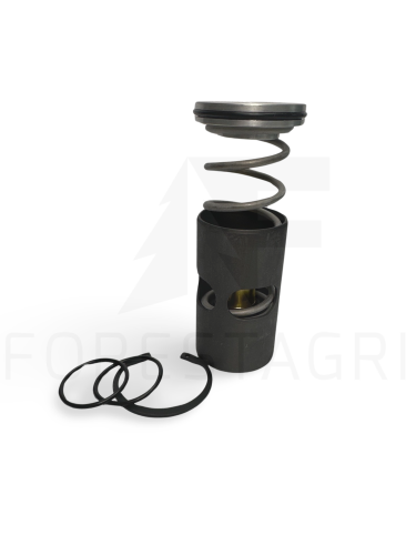TERMOSTAT - F069858