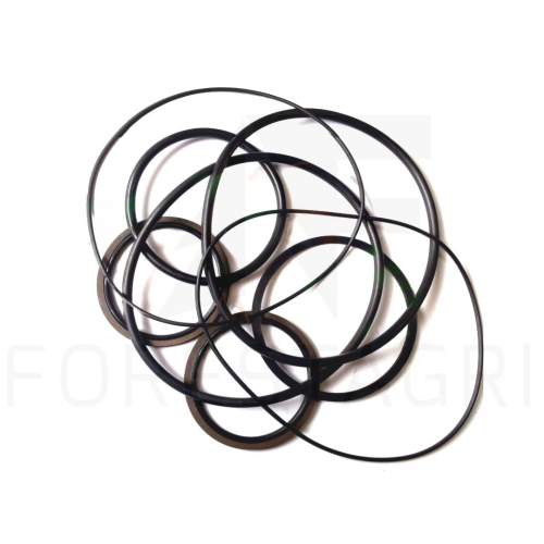 Zestaw uszczelnień, Sandariklių rinkinys, Sada těsnění, Dichtungssatz, Seal kit, F005622