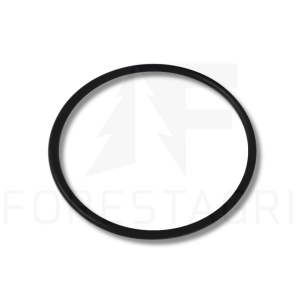 O-kroužek - F025375