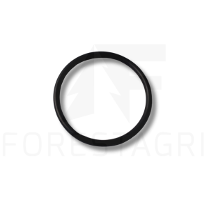 O-kroužek - F005484 (T34248)