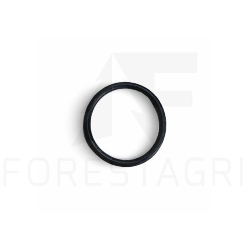 T74425 (F008449).png