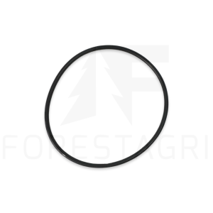 O-ring - F010631, R41987 (náhradní díl)