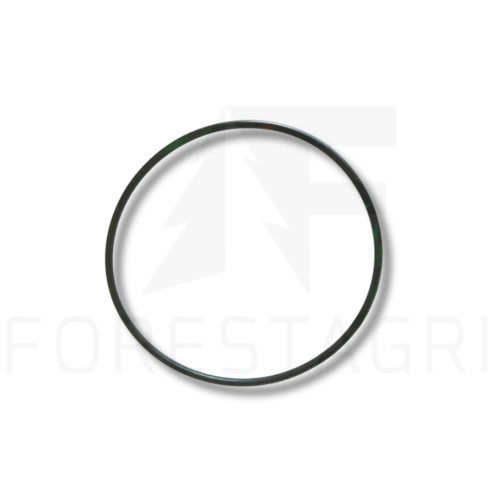 O-RING - F003228