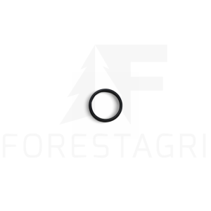 O-kroužek - F021605