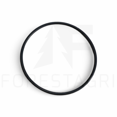 O-RING - F055507