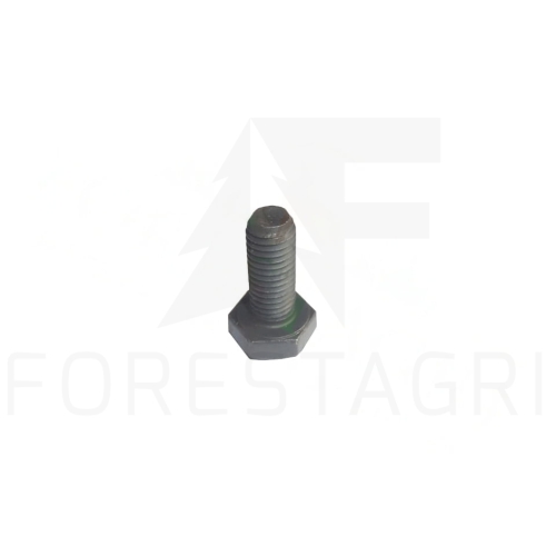 śruba, bolt, Schraube, varžtas, šroub - F021647