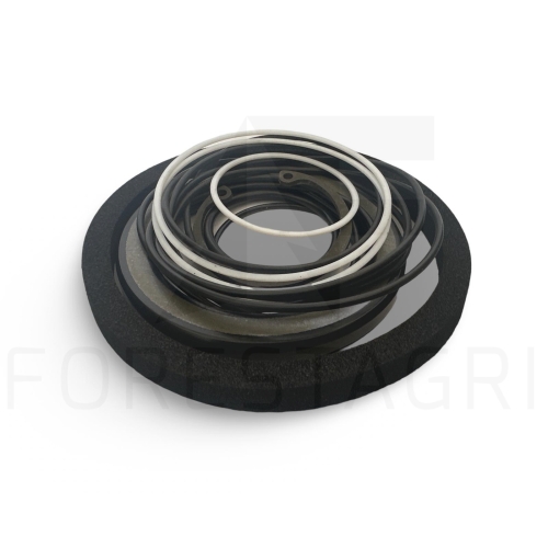 Zestaw uszczelnień, Sandariklių rinkinys, Sada těsnění, Dichtungssatz, Seal kit, F063289