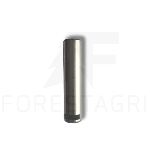 F709712.png