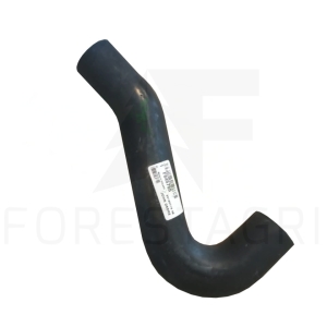 HADICE - F645755