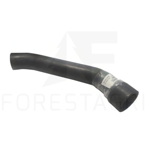 HADICE- F625060