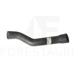 HADICE - F630597