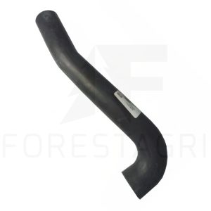 HADICE - F636350