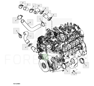 Hadice - F662297